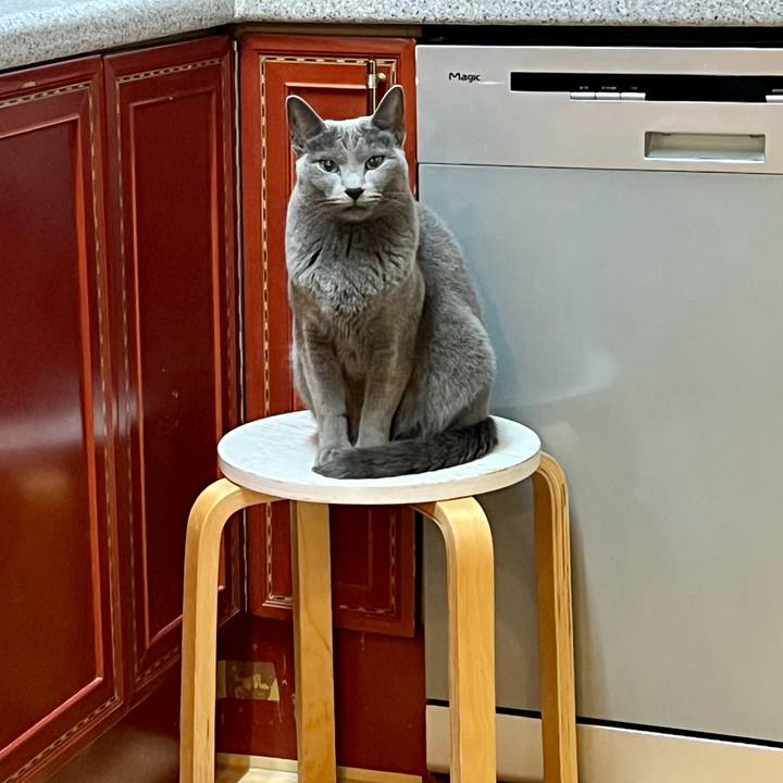 53385b52 2492 4b6a a8cd 7ac1b313c500 1638518408810