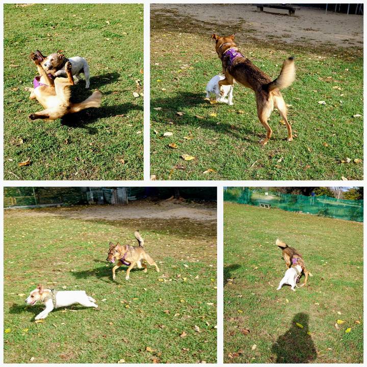 53387735 844e 4b04 b908 430ed58e74b2 1760747594795