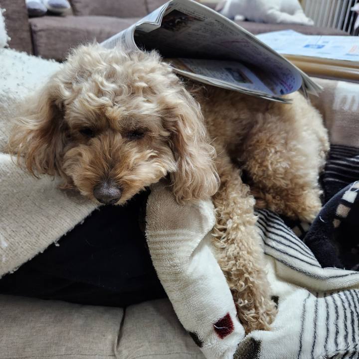 53387aa9 b2d5 4102 9ad8 aa4dc8737ac2 1769383861987