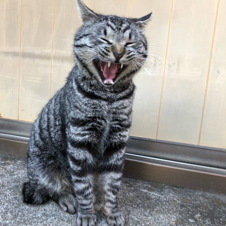 53388a30 eac5 464e a09a a5f5d6654ed2 1521281627388