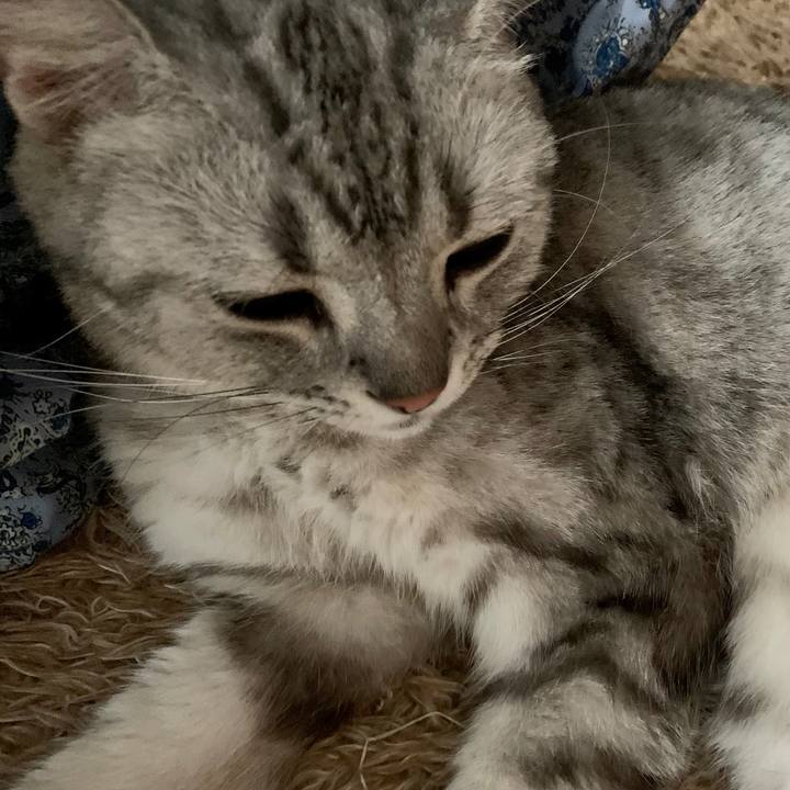 53388c06 4db2 4cff 8dcc def5b0fc2060 1591326680640