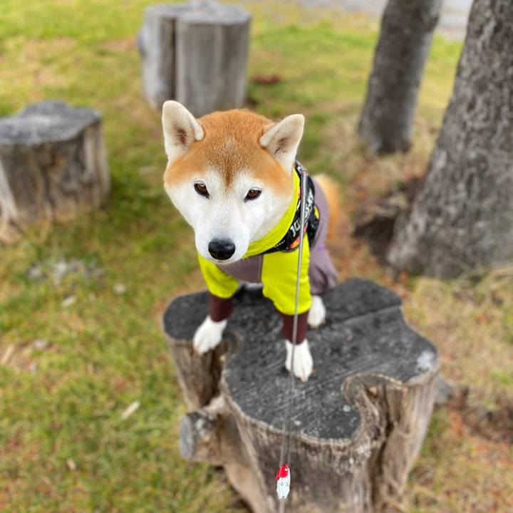 5338e015 432e 4c0d baea a99cffbaf251 1669704118102