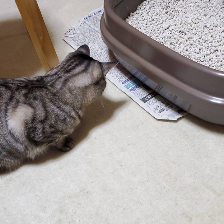 533932c1 ed40 4b59 a2ed 95adec107a08 1711036967403