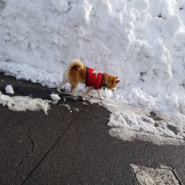 53393f4e e0a9 42ad 9079 e01eaa5789cf 1608804854503