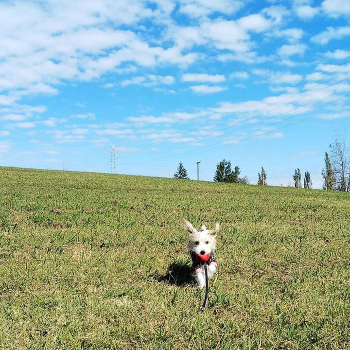 5339f0e0 0585 4a6b b34b cf0f9dc152c2 1667769198903