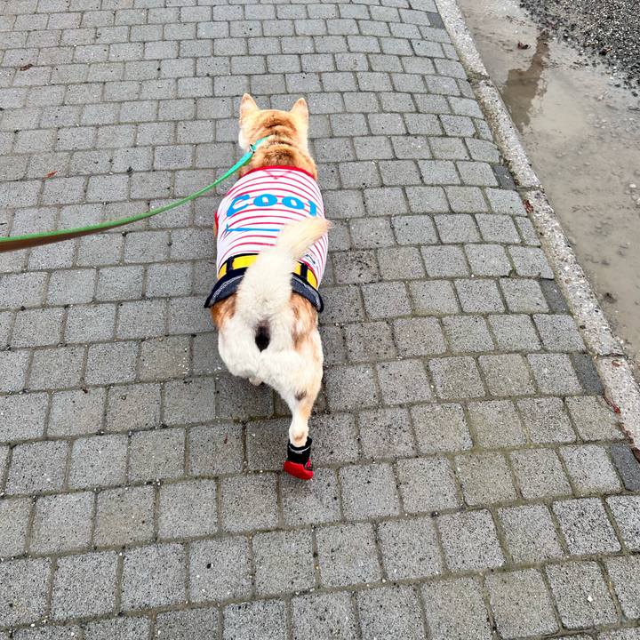 533a385c adf3 4b7b be04 5f1400da9669 1748672490119