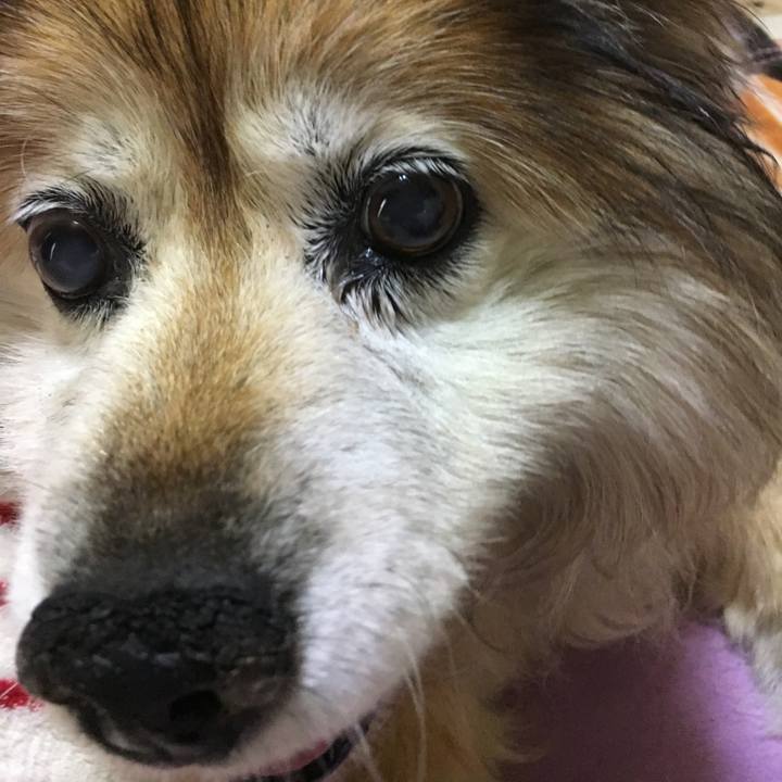 533abfd0 4ebd 49ac 8f58 fb502ea365be 1579768440561