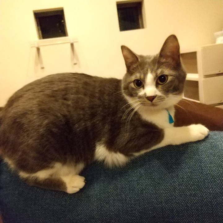 533b5c76 1f9b 4167 87b0 000e6e2d9708 1613653674586