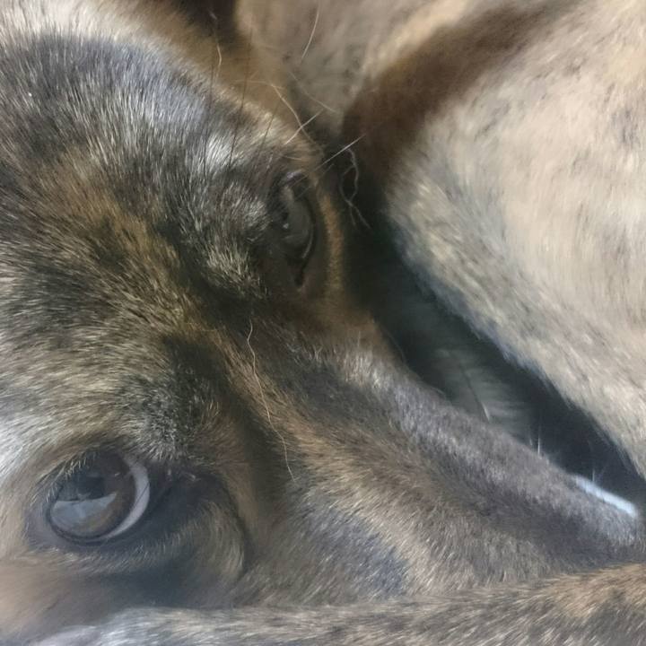 533b7b50 4d98 4ff7 8b29 a498b5ee500c 1518781738806