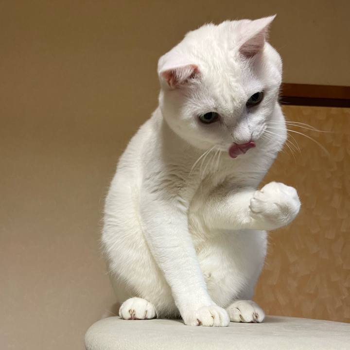 533bb37b fdcf 4866 a89e 831d3a4e4acb 1692619810649