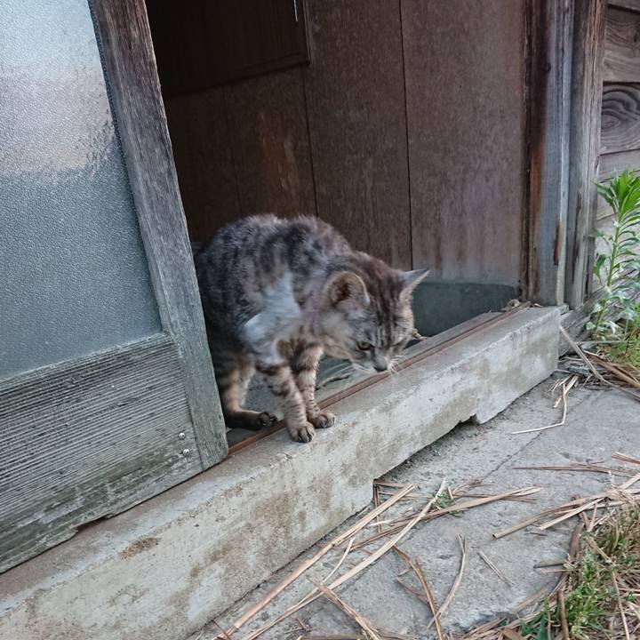 533bcfcd 38b5 4139 85f4 128af379c235 1592685135180