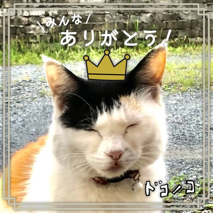 533c06e8 6ebc 451c 8519 f2fafb7bfe8e 1622900929107