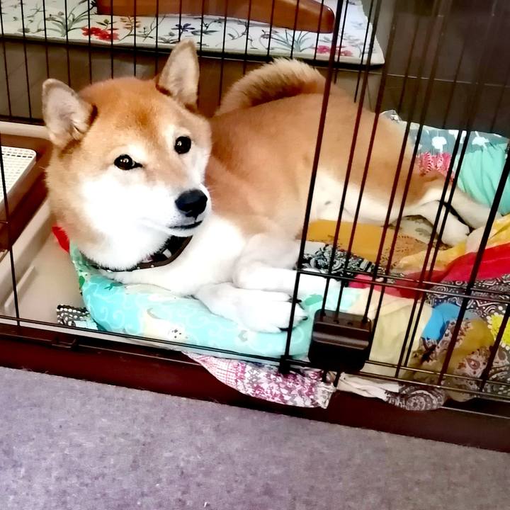 533c26a6 8060 4c1d 9ea1 2563497f9645 1661585735673