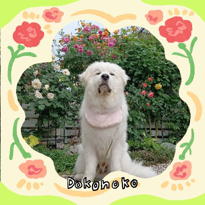 533c4de9 33d5 474b 8d6f 6dbd993acfca 1715258493395