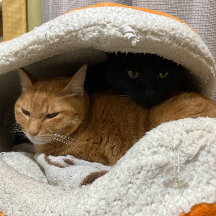 533c5567 ebe2 404b 95fe e9082624b57c 1773664146817