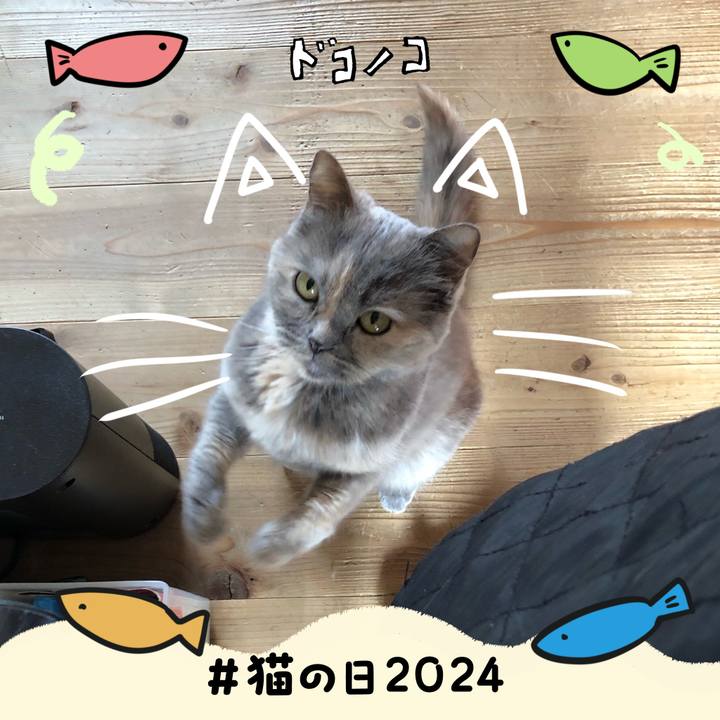 533c7a19 7d7f 47d4 b5ea f85e5408af41 1708572939615