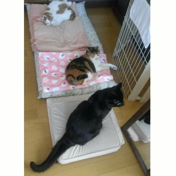 533ca4ce 2243 494f ad85 8f7c4db7bfb5 1538177874637