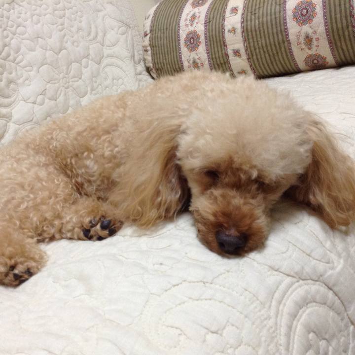 533cc7ba b4c5 4b0d ae79 9da7c1b7adca 1527991074448