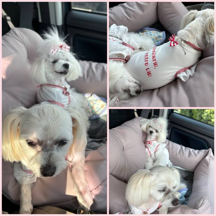 533cf28c e8fc 46d4 91a6 f067f262acd2 1750497556970