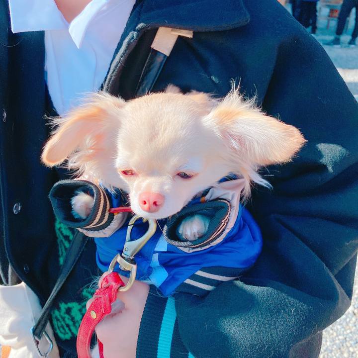 533d4226 ea37 44a1 8faf 54acb87fd29a 1641279178512