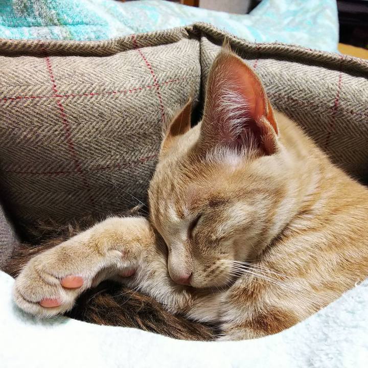 533d6b22 4479 4d1f a561 aa040be2679a 1544616822984