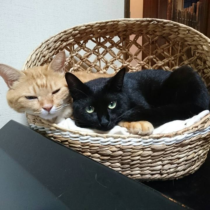 533d8d08 6203 439d 9e5e fa825f6a5efe 1535025633158