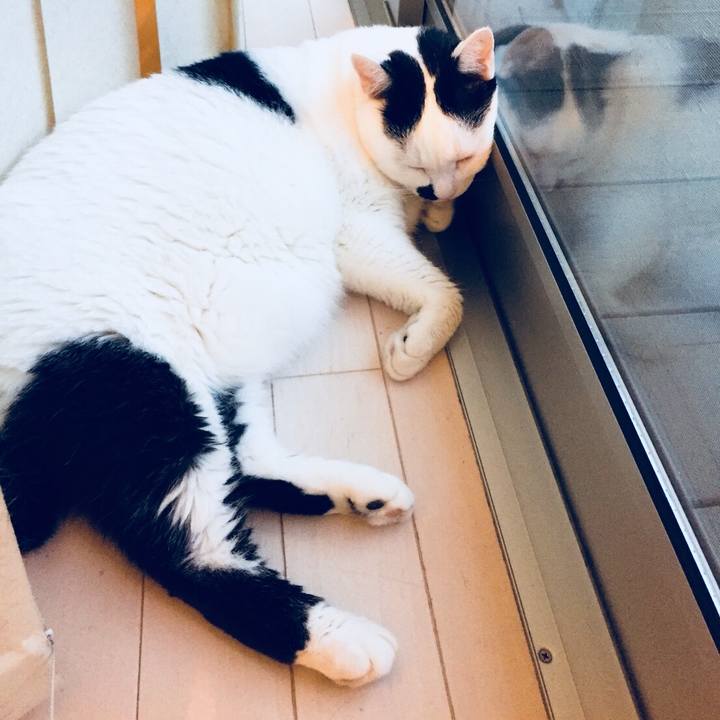 533dbf0d 2452 4bf0 995e c815312df6e2 1530598316508