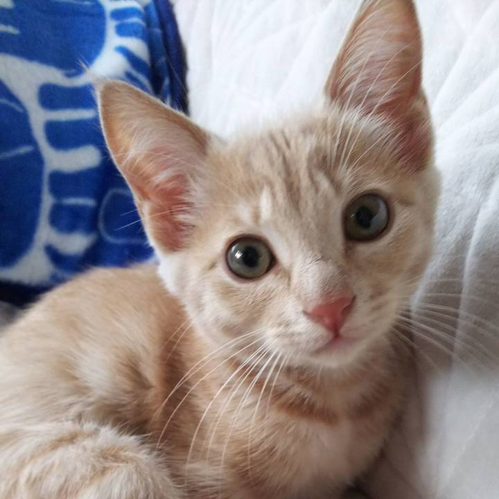 533dd62d 976b 432e ab24 975205119f63 1540725061287