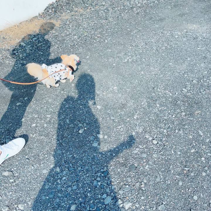 533e0966 a1fb 4338 881e a2a44bd91c83 1692427478601