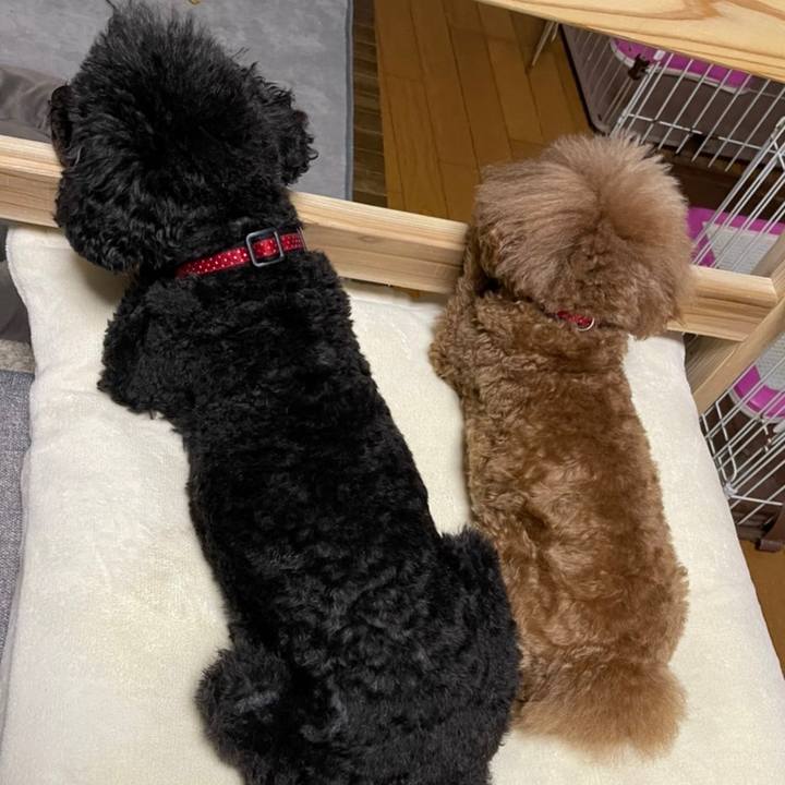 533e109d 73e5 41be 9323 10e60fc4cf42 1646404650447