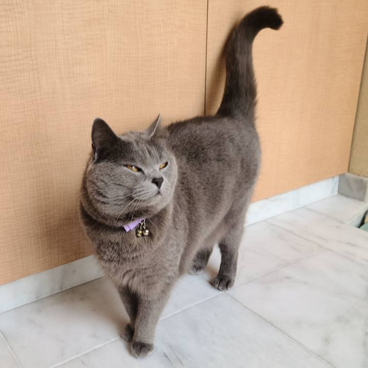 533e1278 d7e8 44e7 ab11 08905f5affa3 1616124130786