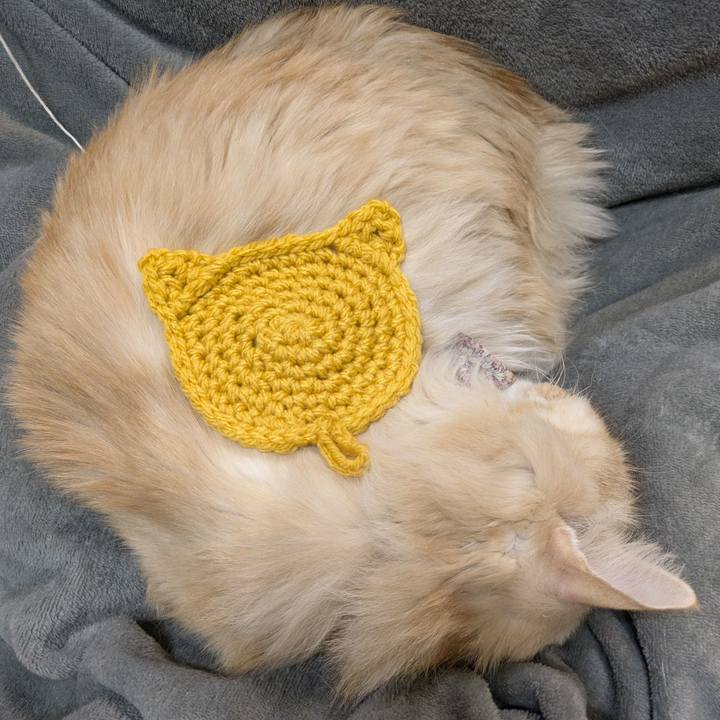 533e2dd3 3c2e 4344 892f 9ee0632d439b 1769173303319