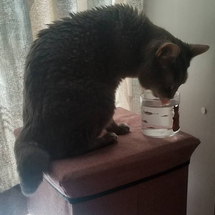 533e4d2e 8958 4626 9851 c7aadf3b0650 1695513536286