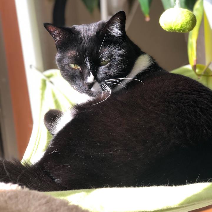 533e6e6e c96c 43a4 b9f3 e3a833882783 1576722852381