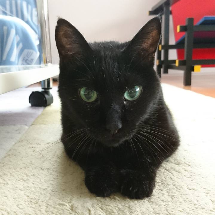 533eba2a 830a 4820 81ae 8538052944c5 1535064760844