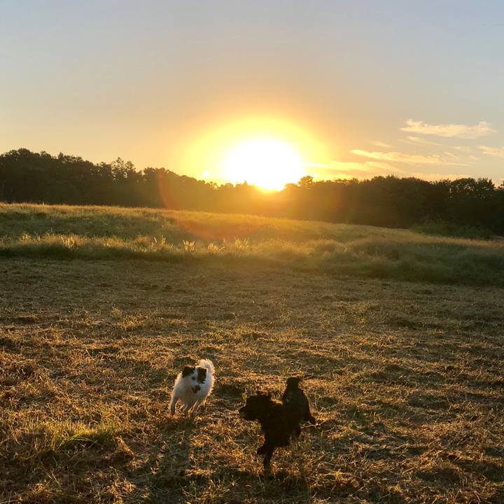 533ec5c2 59f3 407f 8afe e6e05610d92b 1538431638915