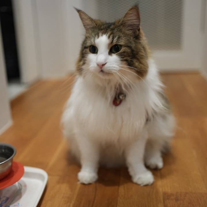 533ee122 0207 4502 83d5 0474e12395dd 1727445056755