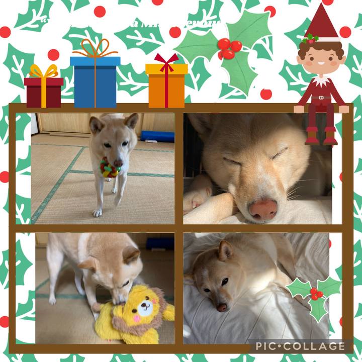 533ef15a 6e3c 4756 9c4e 247517c4474e 1640400947793