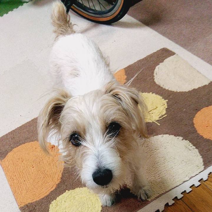 533efe9c b8c5 47bd 841a 8769485f7100 1586434988365