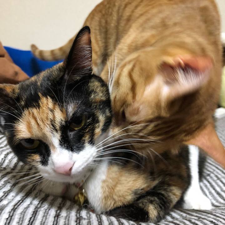 533effc0 c7fa 4792 9ca6 d6c501e61e4d 1570978209148