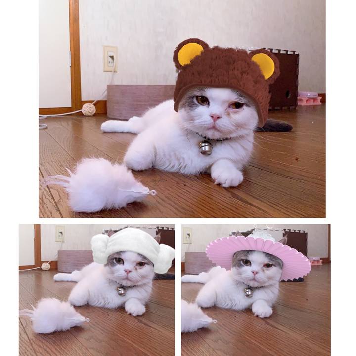 533f0050 b264 4394 9e45 c20275b6c2c6 1569797598411