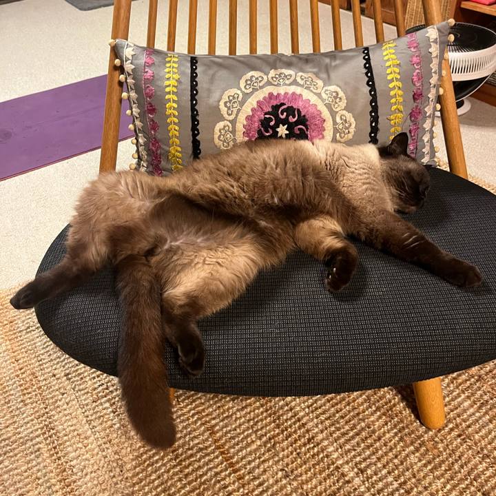 533f30bb 021b 4911 8da4 4b1ee7698443 1688568943056