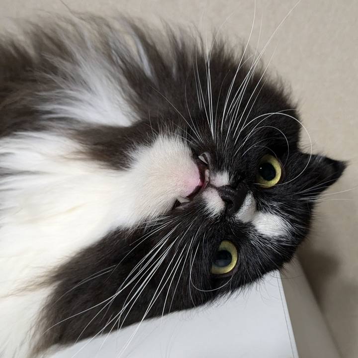 533f3fd6 e225 4eb1 9a3a 2d5a4c4cac83 1731146779768