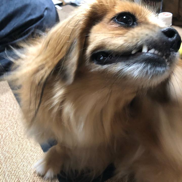 533f8f26 40c4 4d85 96c6 3c92f6e21987 1567977804694