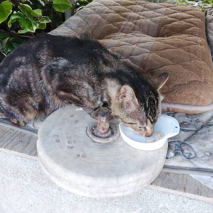 533f9913 98f1 44a7 b52f b69b3ed53a22 1623369053748