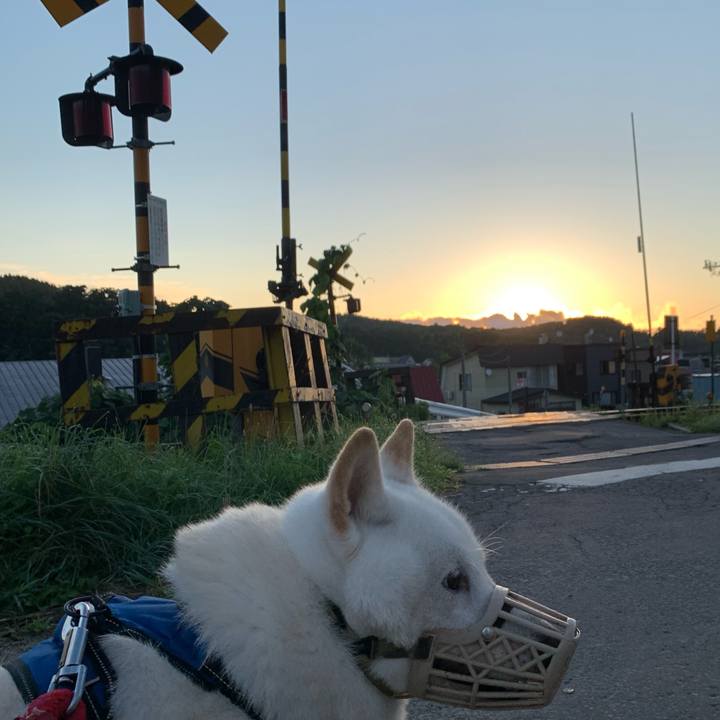 533fe9a8 8981 4019 a945 af051b1f79f8 1660163303815