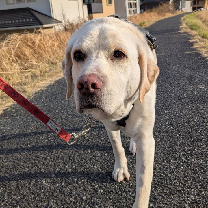 53402ec7 82f4 49f1 98aa 1bfce85ca4cd 1773032436586