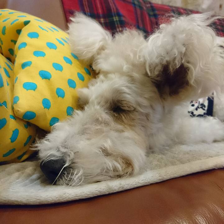 5340357c a283 4408 877b a69498f4c716 1550835007342