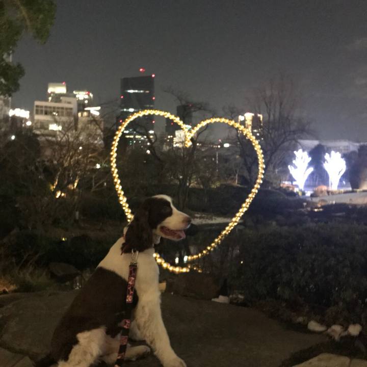 53404c4f 84b0 4079 a1a8 d42740dcd95a 1517205082378