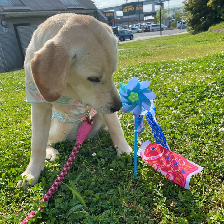 5340808c 43c7 4126 9fe6 57ce556822f9 1620133812621